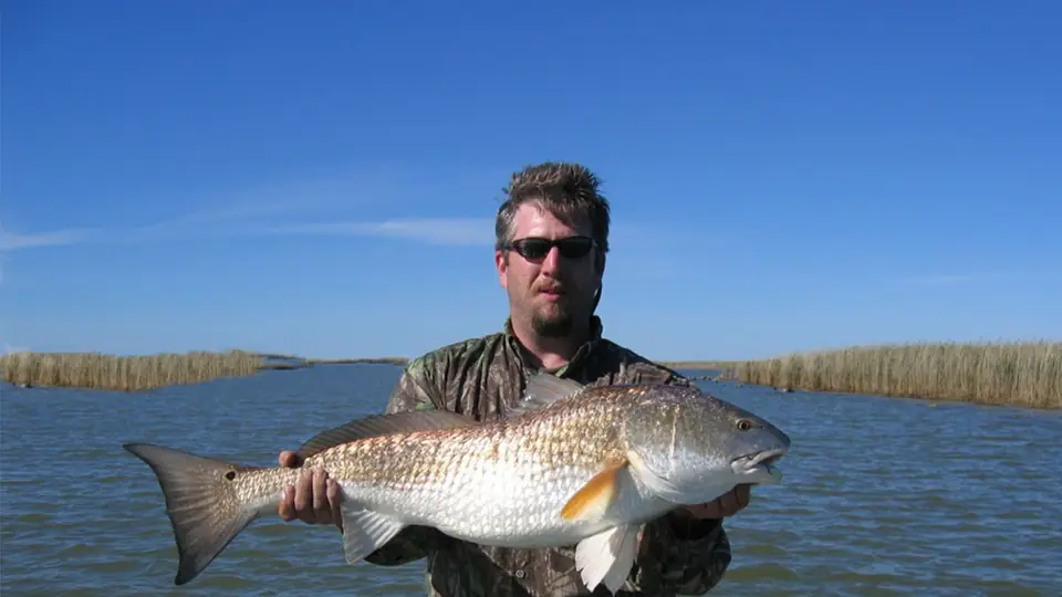 Angler supporting a red drum horizontally over open water, showing the fish's copper sides and tail spot.
